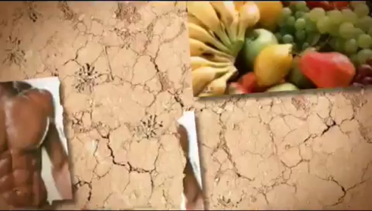 Incinerador De Grasa BONOS Incinerador De Grasa