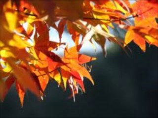 別離・わかれ C'est irreparable (ニノ・フェレール) シャンソン / 訳詞初稿 Sima