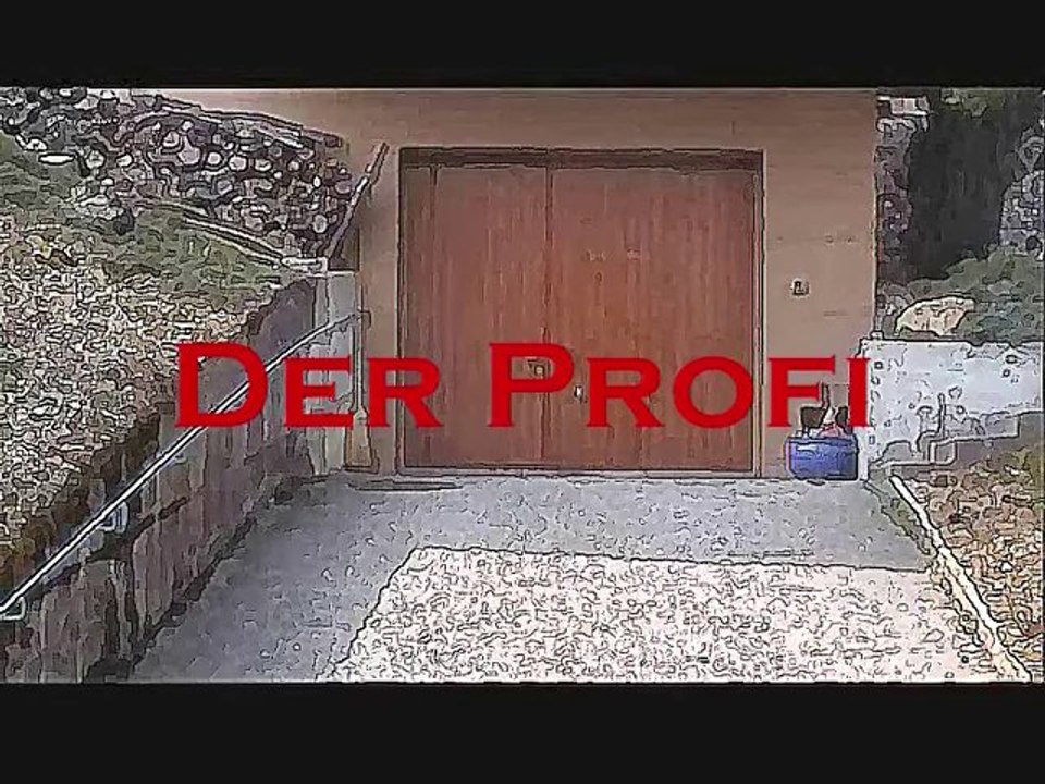 Der Profi