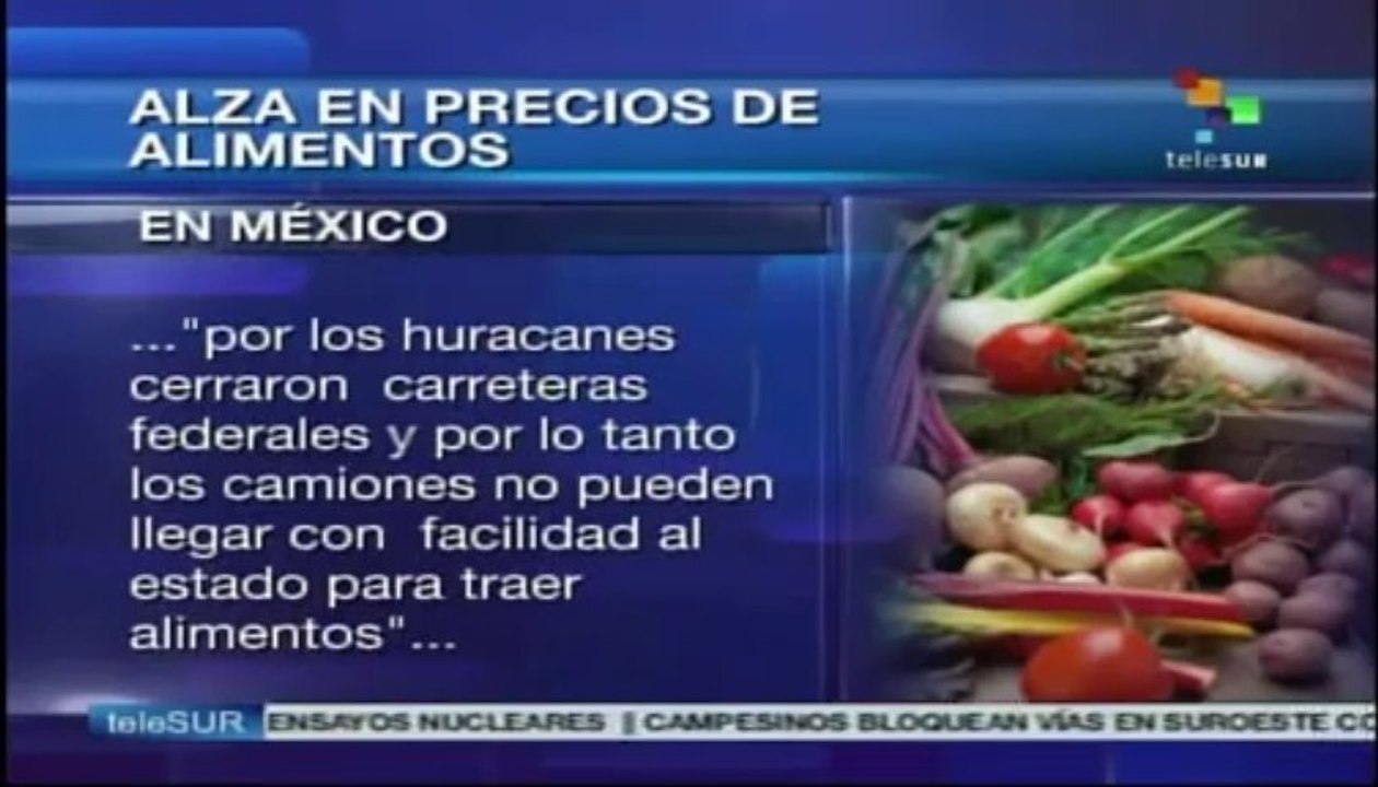 Tema del Día