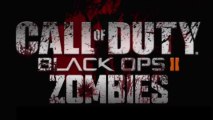 BLACK OPS 2 ZOMBIES  Ray Gun  Gameplay