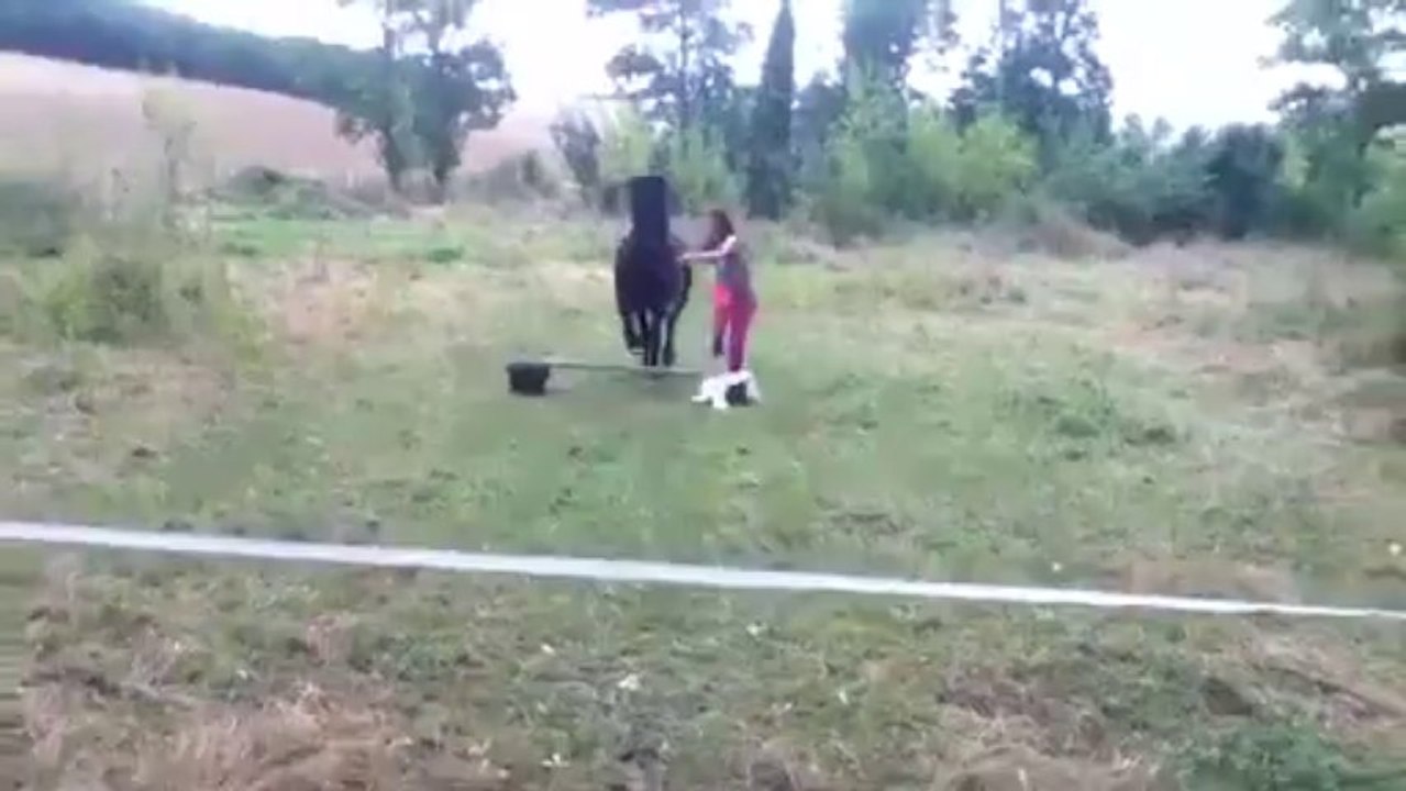 Le début des sauts avk jeri  c parfait pour un début :)