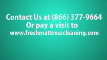 Mattress Cleaning Service in Palmerdale, AL