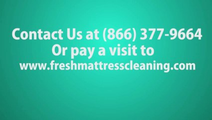 Professional Mattress Cleaning Service in Parrish, AL