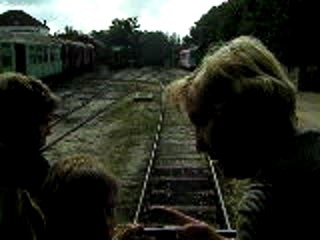 Un train dans les Landes