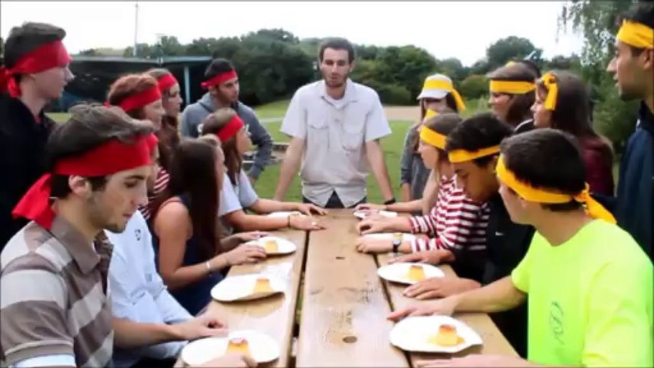 LICENCE LEWIN SHOW - GROUPE 5 - IGR-IAE DE RENNES