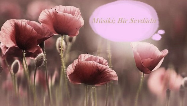 Özdal Orhon - - Şu göğsüm yırtılıp baksan, dikenler aynı güldendir