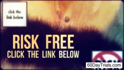 Winslips free download (and my review of PDF)