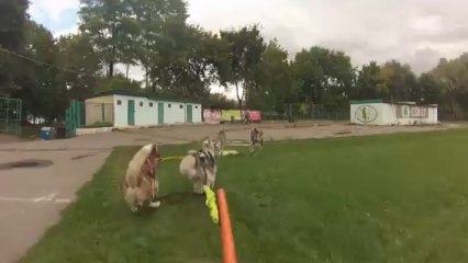 Bikejoring by Kira, Asha, Fray, Rodos, Jerry, Pako @ Yunist Stadium (Lviv, 28.09.13)