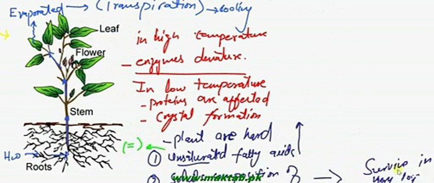 FSc Biology Book2, CH 15, LEC 15, Thermoregulation in Animals and Plants