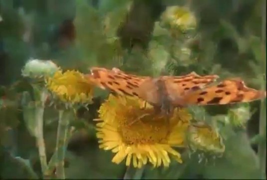 MENSAGEM BM TERÇA 2409