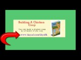 Building A Chicken Coop  Easy And Clear Step By Step Guide