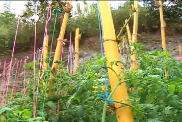 25 de septiembre de 2013 La Peña web