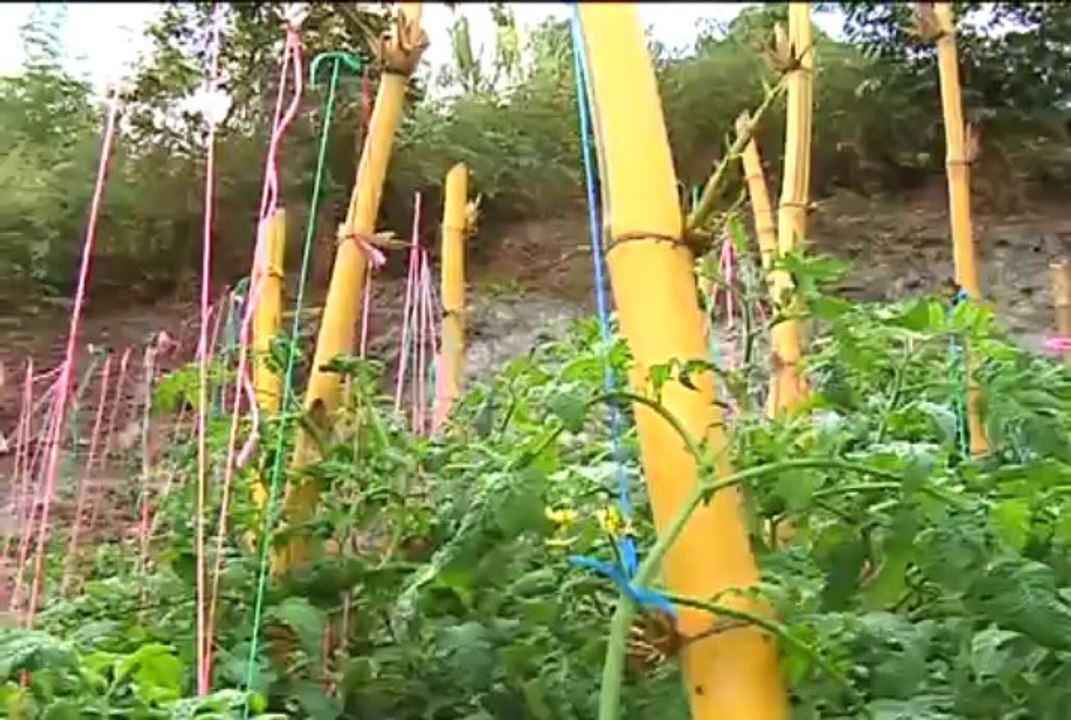 25 de septiembre de 2013 La Peña web