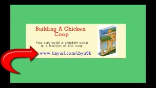 Building A Chicken Coop  How To Build a Chicken Coop