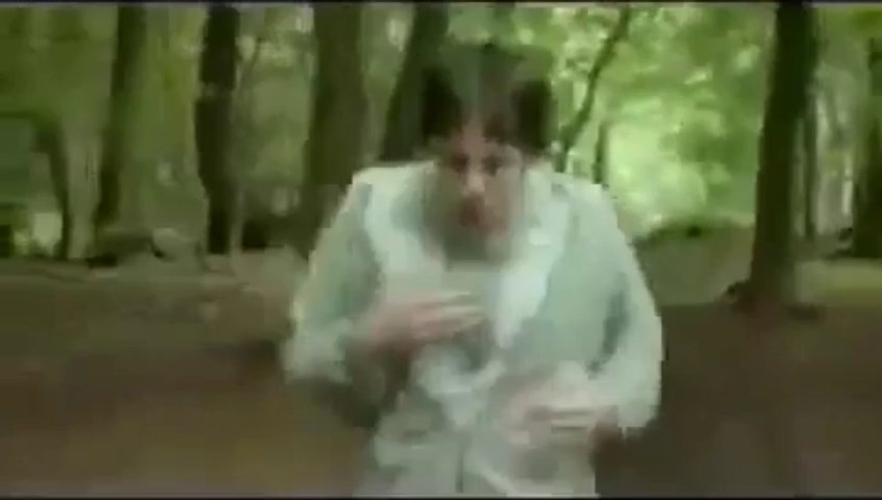 La mosca