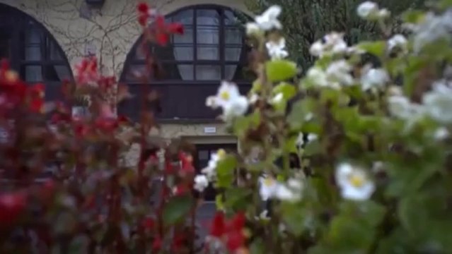 PEDJA MEDENICA - NEKA BOLI - FM SOUND PRODUCTION