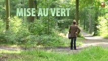 Mise au vert - LES ARTISTES Z'ANONYMES