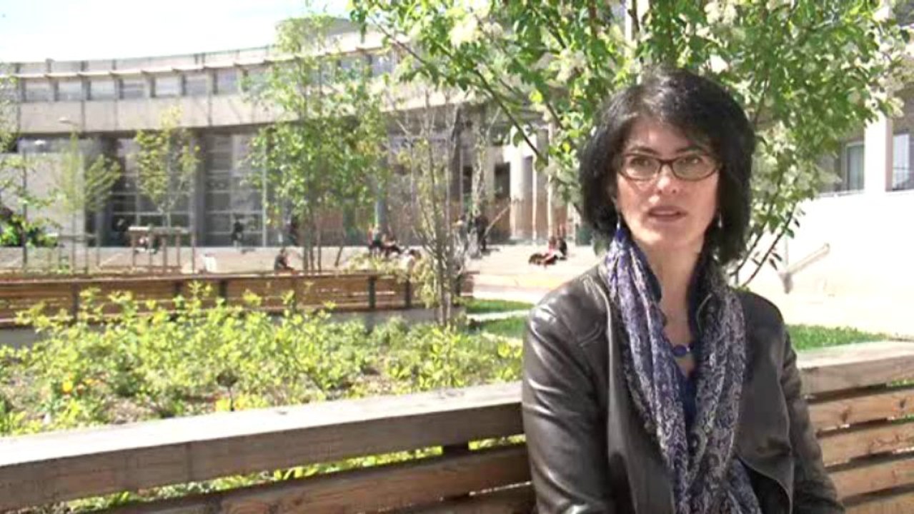 Série PAYSAGES France3 Centre . Tramway  à Orleans