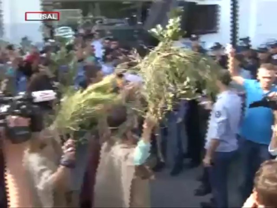 #Diren Ağaç