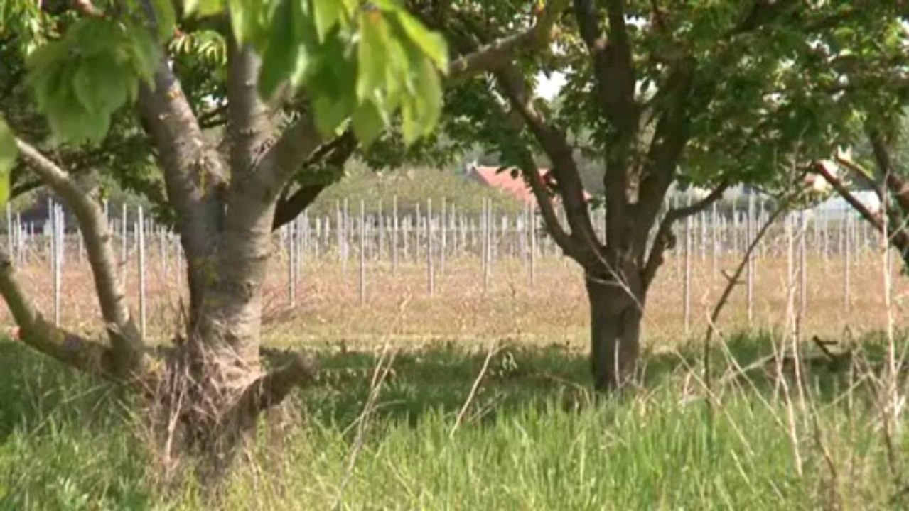 Série PAYSAGES France 3 Centre  Le VAL D ARDOUX