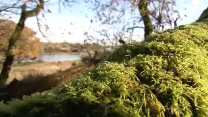 Série PAYSAGES France3 Centre  la BRENNE