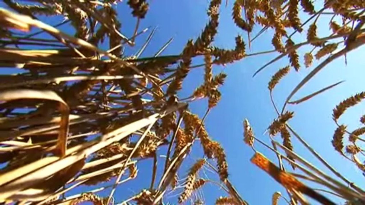 Serie PAYSAGES FRANCE3 CENTRE / LA champagne Berrichonne