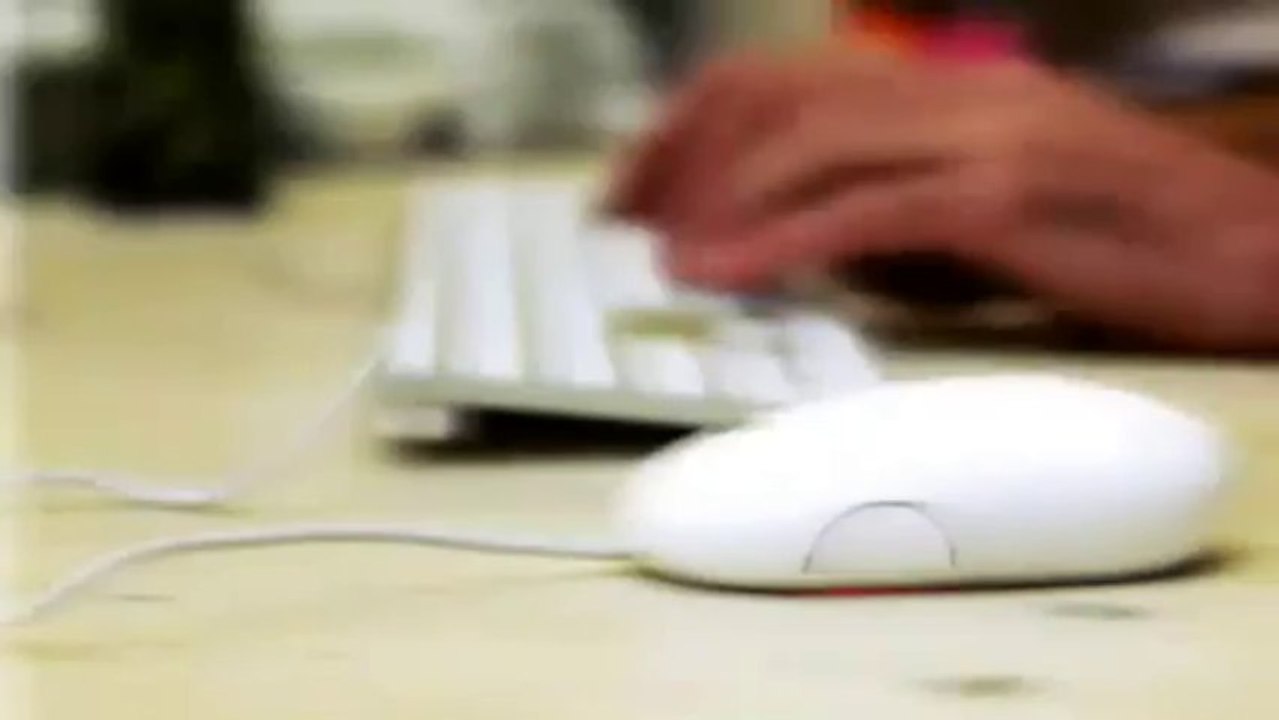 Free Background Check - Background Check on eVerify