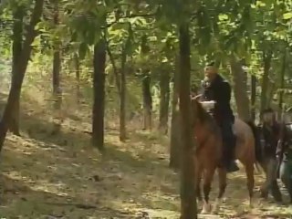 Civil War Combat - The Wheatfield At Gettysburg