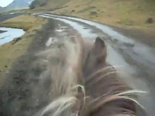 Tölt avec Máþa