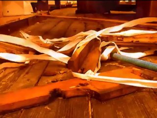 Gaetano Marino - Adorabili tarli