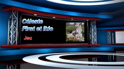 Jeu de bagarre Céleste-First-Ikio