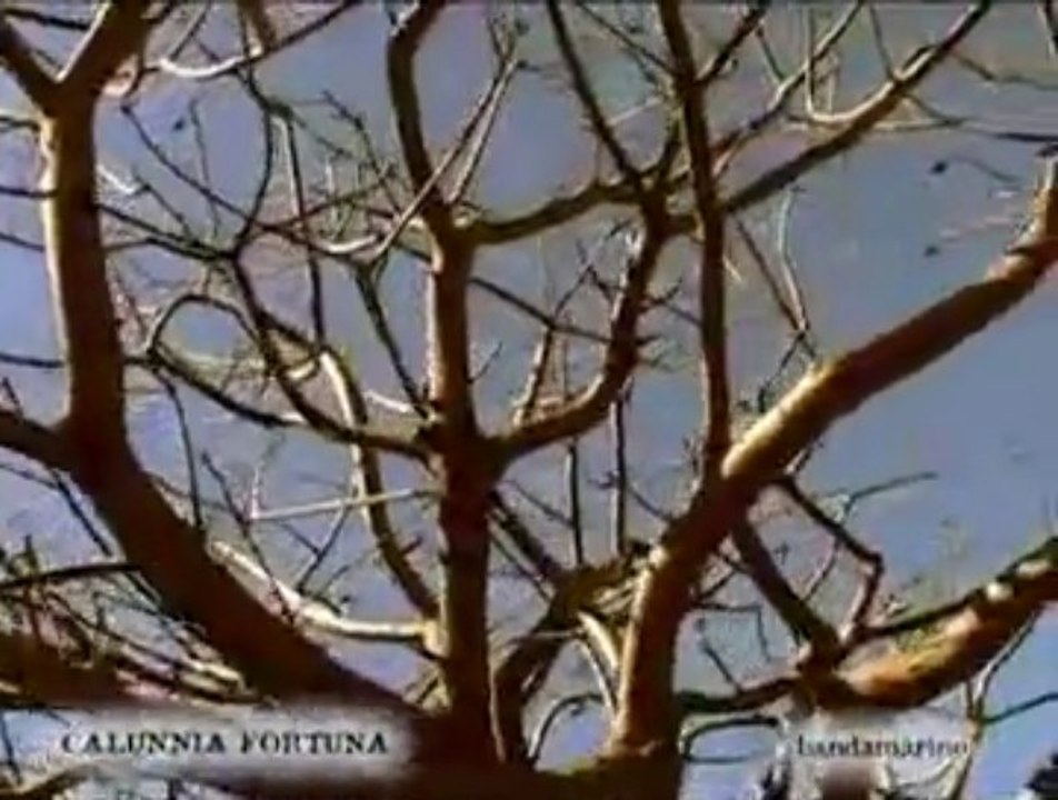 Gaetano Marino - Calunnia Fortuna