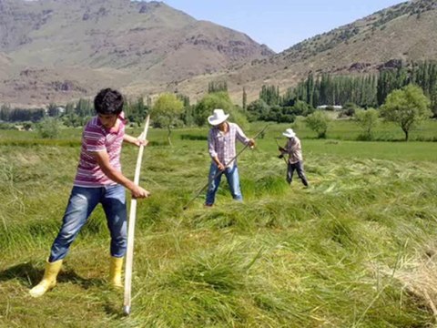 Aşağı Çayırlı Köyü Cennet Yurdu 2013
