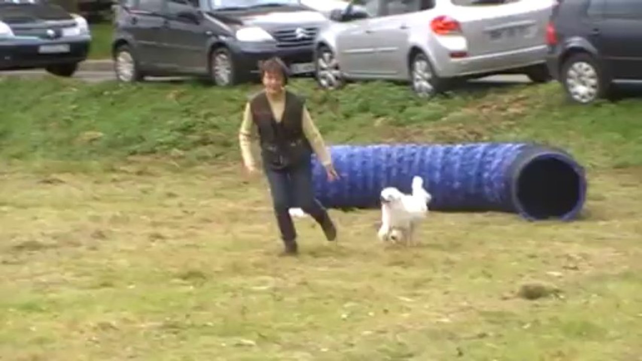 Holly démnstration virades de l'espoir