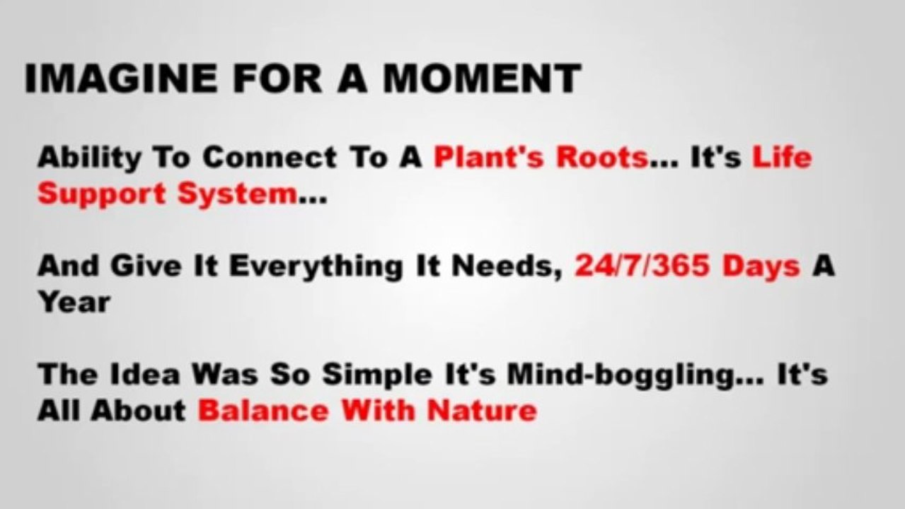 Aquaponics 4 You - The Best Guide to Build Your Own Aquaponics System