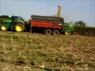 ensilage de mais 2011 séquence n°5