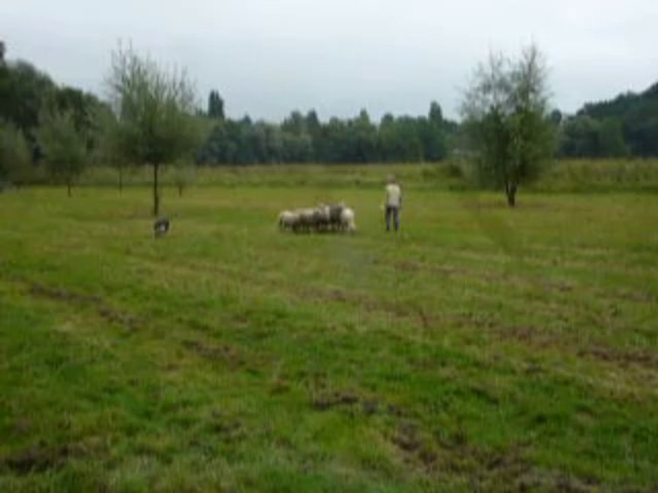 Fête des vendanges 1 -  Chartres 28