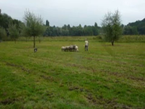 Fête des vendanges 1 - Chartres 28