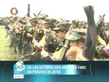 Colombia: Cuatro guerrilleros de las Farc mueren en combate