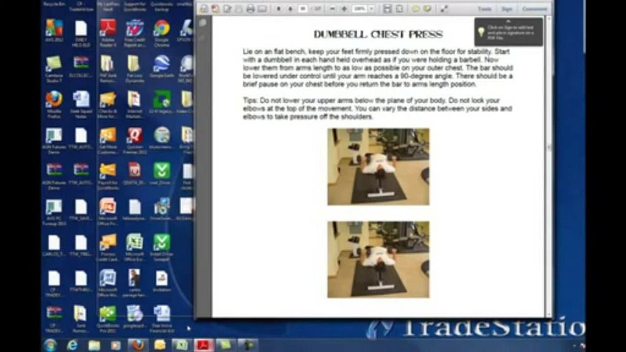 Visual Impact Muscle Building Review