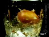 Slow Motion Tomato in Blender