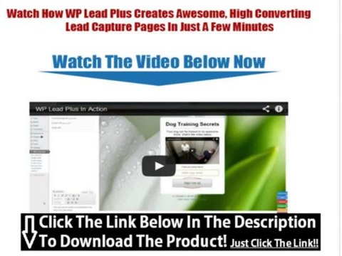 Wp Lead Plus Pro + Wp Lead Plus Free