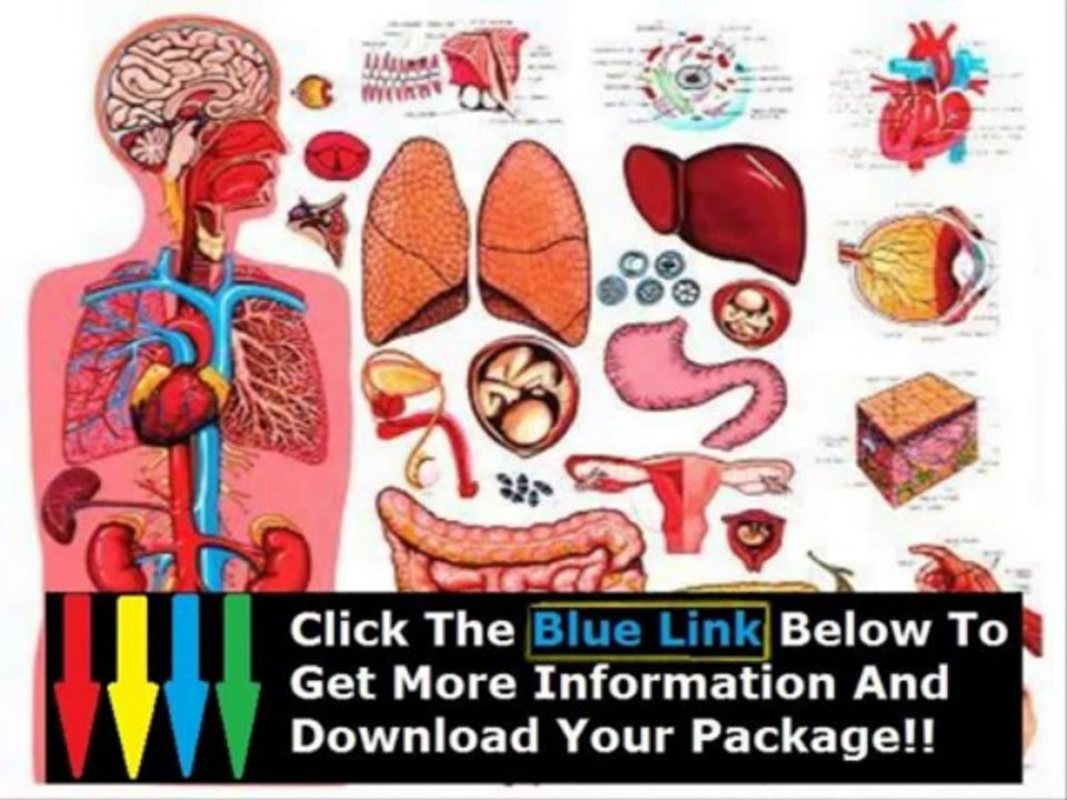 The Human Anatomy Course By Dr. James Ross + Basic Human Anatomy Course