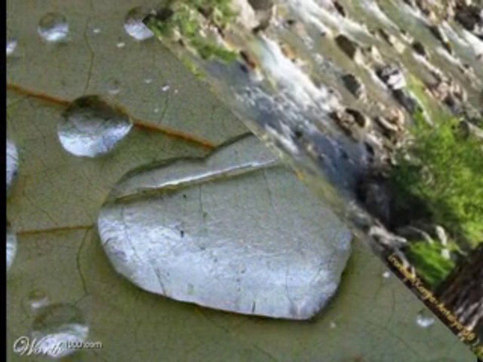 günEŞİM... Şiir ve Ses Enver KİBRİTOĞLU