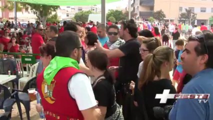 Recinto Festero Día MIG ANY 2013 San Vicente del Raspeig