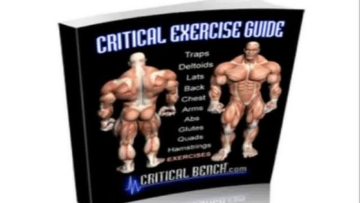 Critical Bench Chart Critical Bench Ed Coan Video Dailymotion