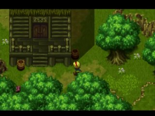 Let's Play Wild Arms (German) Part 89 - Das Dorf der Elw