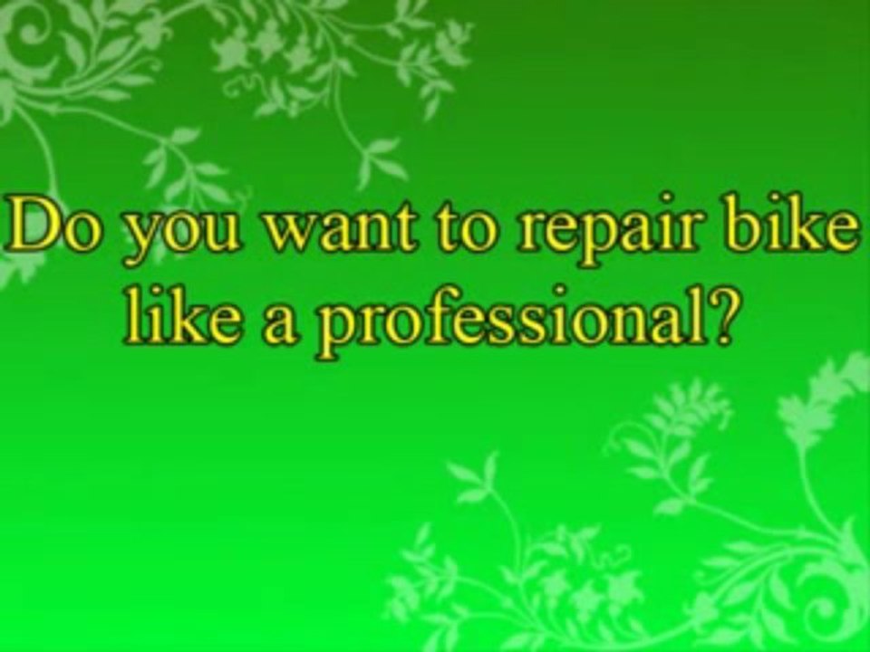 DIY Bike Repair Review