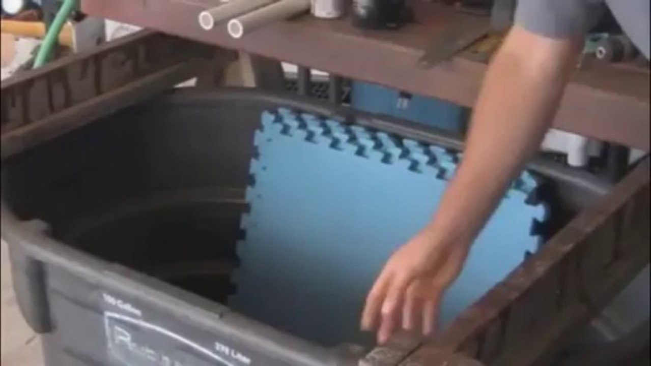 Aquaponics 4 You -- Step-By-Step How To Build Your Own Aquaponics System